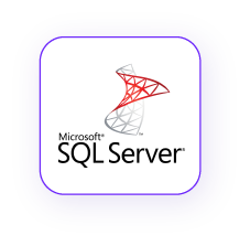 microsoft sql integration pitchly